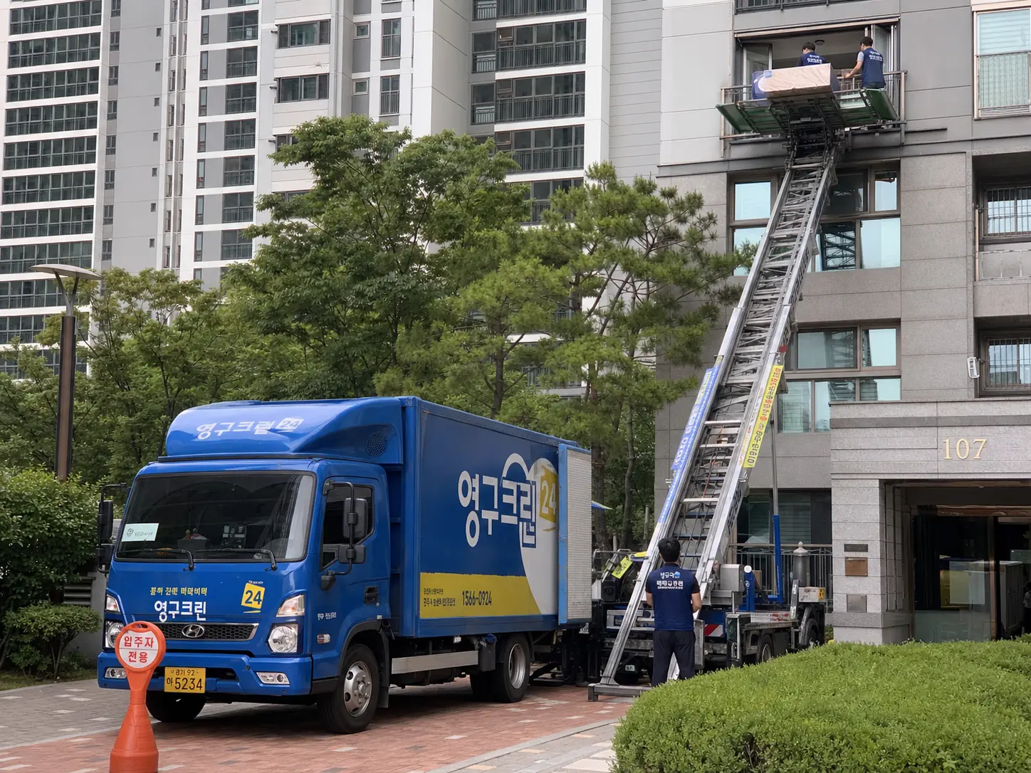 일산동구 가정이사